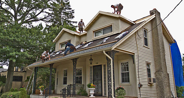 Best Roof Maintenance Services  in Laurel Hill, VA